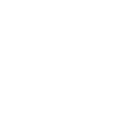 Siege Cyber's penetration testing methodology for Australian companies